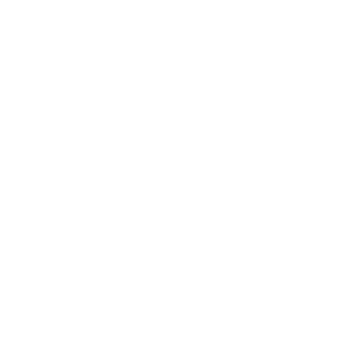MG Logo – White